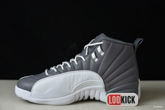 Rep MAX 12 JORDAN CT8025-610 STEALTH AIR 0711